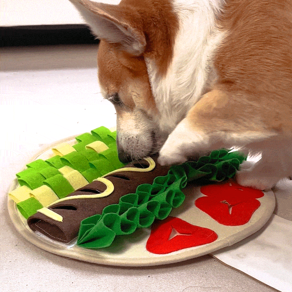 Tapis d'éveil Taco personnalisé pour animaux de compagnie pour une alimentation lente et une recherche naturelle de nourriture Jouet interactif pliabl