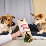 Tapis d'éveil Taco personnalisé pour animaux de compagnie pour une alimentation lente et une recherche naturelle de nourriture Jouet interactif pliabl