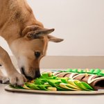 Tapis d'éveil Taco personnalisé pour animaux de compagnie pour une alimentation lente et une recherche naturelle de nourriture Jouet interactif pliabl