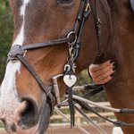 Montura Personalizada Colgante Tallado en Forma de Corazón Borla Joyería Ecuestre Accesorio de Equitación con Texto Cumpleaños Regalo de Navidad para Amante de los Caballos