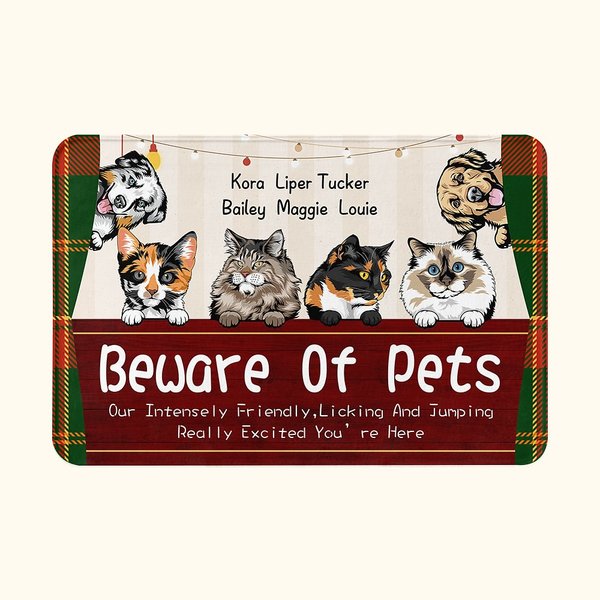 Personalized We Really Excited You're Here Pets' Love for Humans Door Mat  Home Decoration Gift for Pet Lover