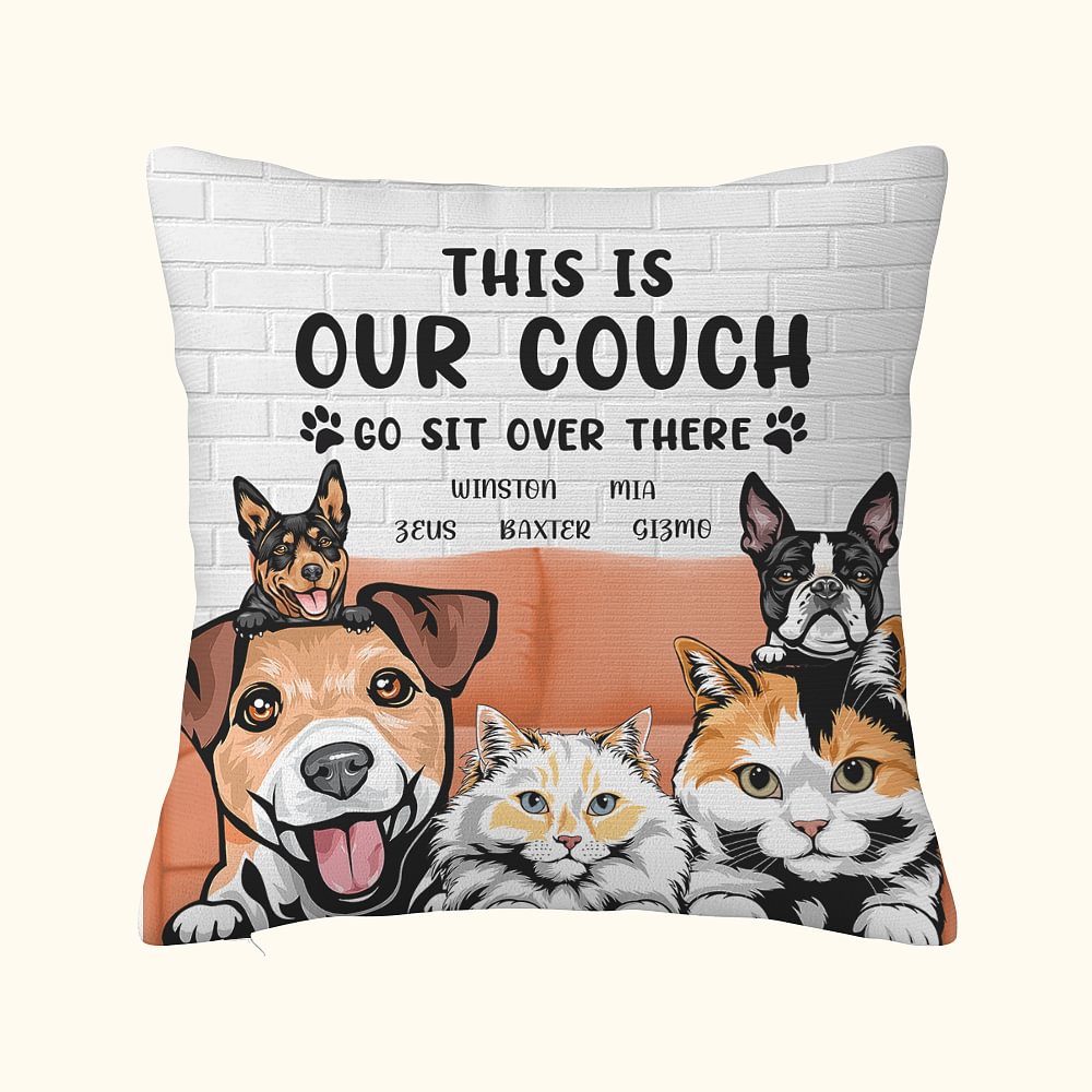 Personalized Pet Party This is My Couch Go Sit Over There Throw Pillow Cover Home Sofa Decoration Birthday Gift for Cat Dog Lover