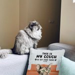 Personalized Pet Party This is My Couch Go Sit Over There Throw Pillow Cover Home Sofa Decoration Birthday Gift for Cat Dog Lover