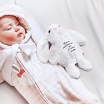 Personalized Soft Cotton Stuffed Bunny Plush Comforter Toy with Text Easter Keepsake Gift for Kids