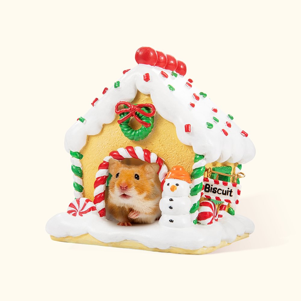 Maison en Pain d'Épice Personnalisée avec Nom Cachette de Hamster Cadeau de Noël pour les Propriétaires de Hamster