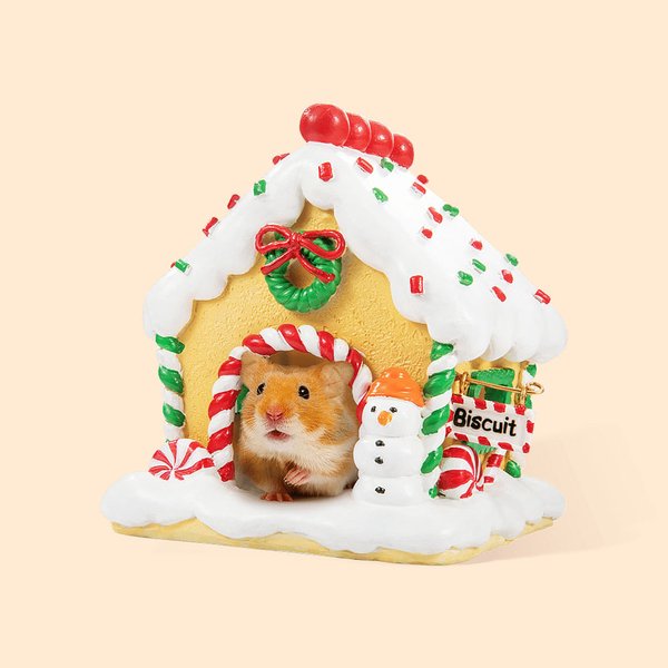 Personalisierte Lebkuchen Hamster Versteck Haus mit Namen Weihnachtsgeschenk für Hamster Besitzer