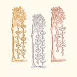 Marque-page en Acier Inoxydable Personnalisé avec Nom et Texte Signet en Forme d'Arbre Généalogique Cadeau Anniversaire pour Amoureux des Livres