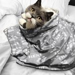 Personalisierte Niedliche Weiche Haustierdecke mit Pfotenabdruck und Namen Geburtstag Weihnachten Geschenk für Katze- und Hundbesitzer Tierliebhaber