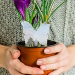 Personalized Memorial Butterfly Ground Stake Grave Cemetery Outdoor Garden Decoration Sympathy Gift or Family Friend