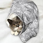 Personalisierte Niedliche Weiche Haustierdecke mit Pfotenabdruck und Namen Geburtstag Weihnachten Geschenk für Katze- und Hundbesitzer Tierliebhaber