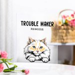 Plaque acrylique personnalisée Trouble Maker Cat Dog Funny Desk Decor Gift for Cat Dog Lover