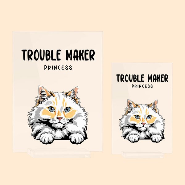 Gepersonaliseerde Trouble Maker Cat Dog Acryl Plaquette Grappig Bureaudecor Cadeau voor Kat Hond Liefhebber