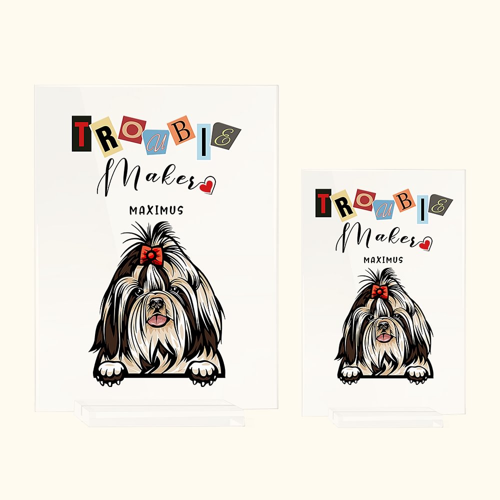 Personalizzato Trouble Makers Pet Acrylic Plaque Desk Ornament Regalo per gli amanti degli animali domestici