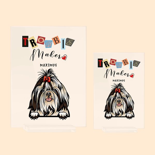 Henkilökohtainen Trouble Makers Pet Akryyli Plaque Desk Ornamentti Lahja Lemmikkieläinten rakastaja