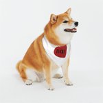 Personalised Pink Heart Reversible Dog Bandana with Adjustable Buckle and Name Valentine's Day Holiday Pet Wear Gift for Pet Lover