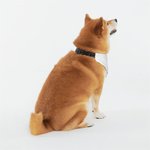 Personalised Pink Heart Reversible Dog Bandana with Adjustable Buckle and Name Valentine's Day Holiday Pet Wear Gift for Pet Lover