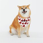 Personalised Pink Heart Reversible Dog Bandana with Adjustable Buckle and Name Valentine's Day Holiday Pet Wear Gift for Pet Lover