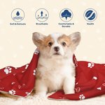 Manta suave para mascotas con nombre, personalizada y multicolor para los amantes de las mascotas.