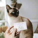 Personalised Moon and Stars with Pet Black Hand Held Book Embosser Stamp Set with Name and Storage Bag Birthday Gift for Cat Dog Lover Book Lover