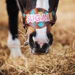 Personalised Horse Noseband with Name Leather Bridle Equipment Gift for Horse Lover Equestrian