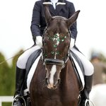 Personalisierte mittelalterliche Pferd Tack Pferd Gesicht Schmuck Antike Bronze Show Zaumzeug Stirnband mit Birthstone und Initial Geschenk für Pferde