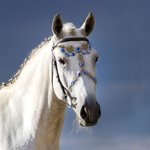 Personalisierte mittelalterliche Pferd Tack Pferd Gesicht Schmuck Antike Bronze Show Zaumzeug Stirnband mit Birthstone und Initial Geschenk für Pferde