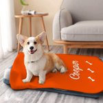 Personalised Cute Element Multicolour Pet Blanket with Name Soft and Warm Dog Cat Sleep Mat Gift for Pet Lover Owner