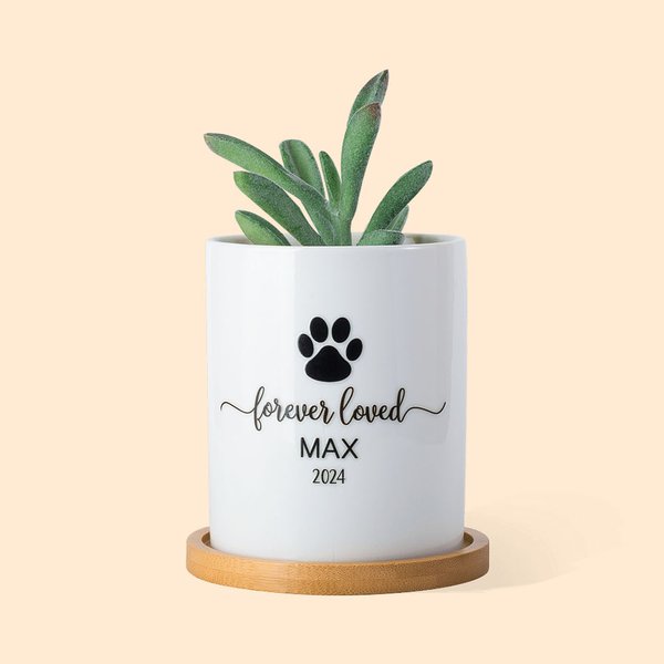 Gepersonaliseerde Pet Paw Memorial Keramische Plant Pot met Houten Voet Huisdier verlies Sympathie Gift voor Huisdierliefhebber
