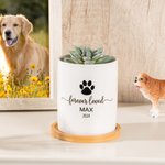 Gepersonaliseerde Pet Paw Memorial Keramische Plant Pot met Houten Voet Huisdier verlies Sympathie Gift voor Huisdierliefhebber