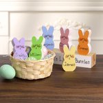 Personalized 1-15 Easter Bunnies Family Wooden Block Set with Name Colorful Blushing Bunny Home Decoration Easter Gift for Mom Grandma