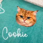 Personalized Multicolor Soft Fleece Paw Icon Blanket with 1-3 Photos Birthday Gift for Pet Lover