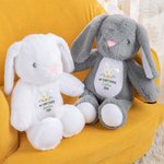 Lait en peluche personnalisé Mon premier lapin de Pâques avec nom et année Cadeau de Pâques pour enfant