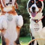 Plaque Œuf de Pâques en Bois Décoration Personnalisée avec Nom Gravé Cadeau de Pâques pour Enfant