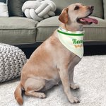Personalised St Patrick's Day Four Leaf Clover Pet Bandana with Name and Text Gift for Dogs Cats Pet Owners