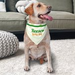 Personalised St Patrick's Day Four Leaf Clover Pet Bandana with Name and Text Gift for Dogs Cats Pet Owners