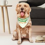 Personalised St Patrick's Day Four Leaf Clover Pet Bandana with Name and Text Gift for Dogs Cats Pet Owners