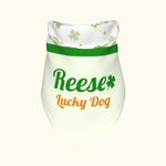 Personalised St Patrick's Day Four Leaf Clover Pet Bandana with Name and Text Gift for Dogs Cats Pet Owners