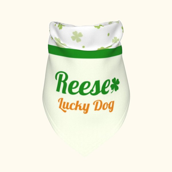 Bandana avec Trèfle à Quatre Feuilles Personnalisé avec Nom et Texte Cadeau d'Anniversaire pour Propriétaires d'Animaux pour Chiens Chats