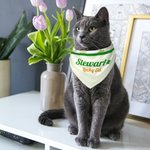 Personalised St Patrick's Day Four Leaf Clover Pet Bandana with Name and Text Gift for Dogs Cats Pet Owners