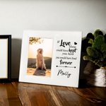 Cadre en cuir personnalisé pour animaux de compagnie avec photo portrait et nom Cadeau souvenir pour les amoureux des animaux de compagnie