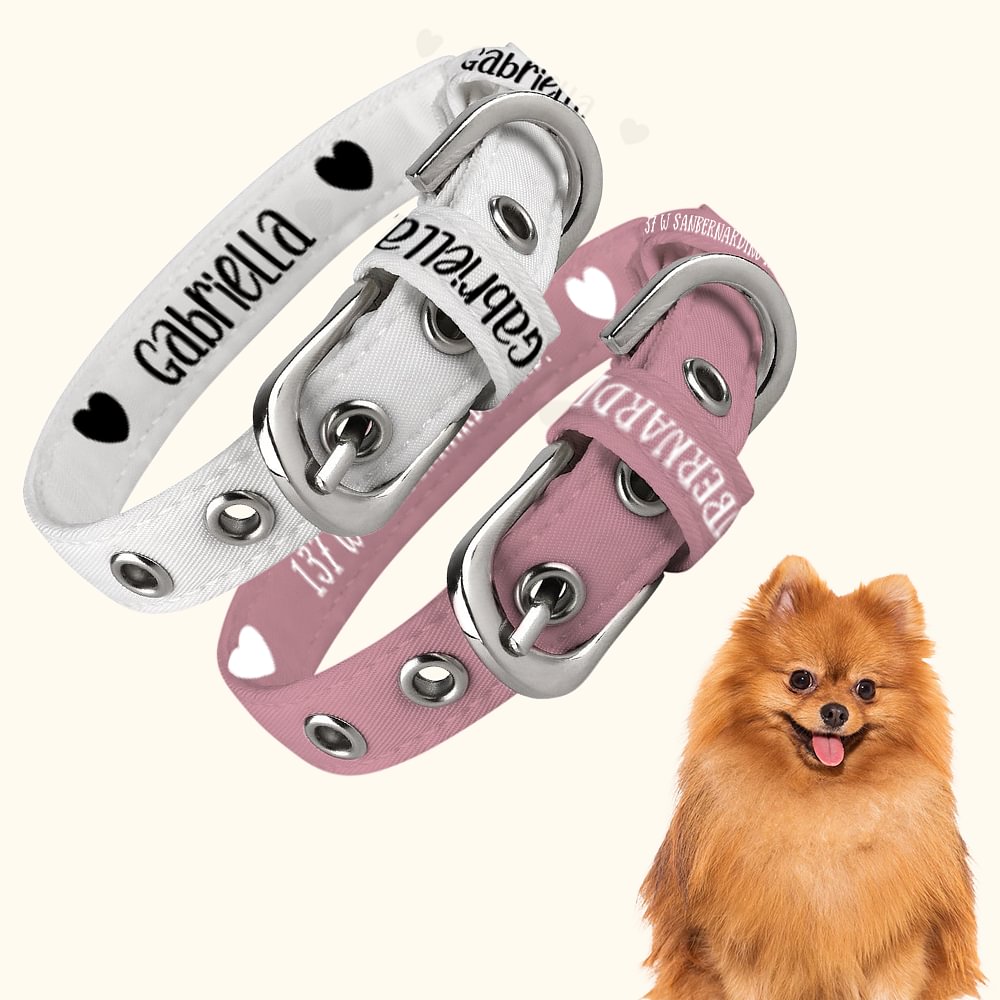 SEOUGEE Collare Per Cani In Vera Pelle, Personalizzato, Morbida Imbottitura, Resistente, Con Targhetta Con Nome Inciso Personalizzato, Regolabile, Per Cani Di Taglia Piccola, Media E Grande (XL, Rosa - Foto 7