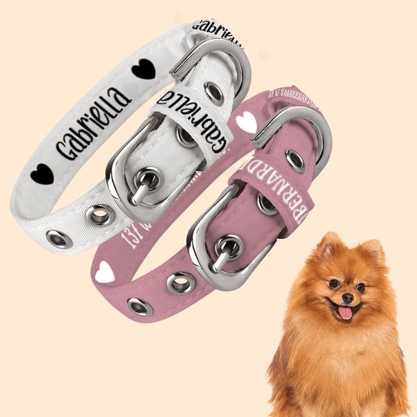 Collare per cani regolabile personalizzato multicolore con motivo a zampa di cuore e testo per chi ama gli animali domestici