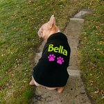 Sweat à Capuche Personnalisé avec Nom pour Chien Cadeau pour chien