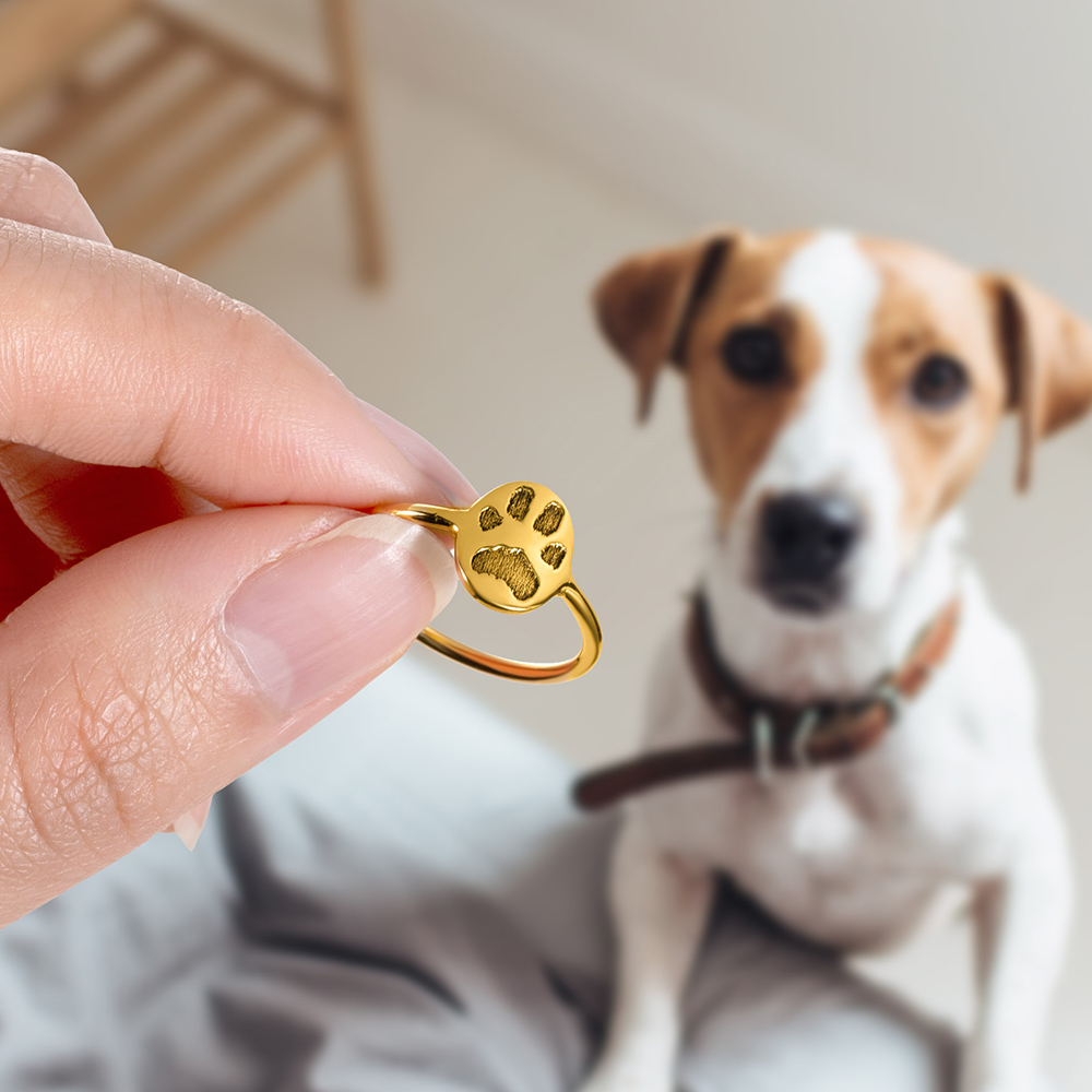Personalisiertes Hunde-Halsbandanhänger – Pfotenform, Rund, Graviert Mit „Oh I'm Lost“ & Telefon