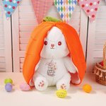 Personalised Cute Carrot Rabbit Reversible Plush Toy with Zipper Birthday Gift for Kids