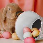 Henkilökohtainen Peter Rabbit Dot pyykinpesukori, jossa on nimi ja alkuperäiset suuren kapasiteetin järjestäjä leluille kirjoille pienille esineille p