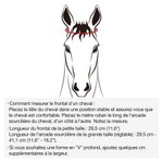 Bijoux pour Visage de Cheval Médiéval Bronze Antique Bandeau de Spectacle Personnalisé avec Pierre de Naissance et Initiale