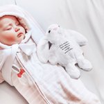 Personalisierter Plüsch-Hase aus Baumwolle Kaninchen Spielzeug mit Text Ostern Geschenk für Kinder