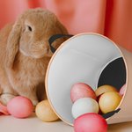 Personalized Peter Rabbit Bunny Floral Laundry Storage Basket Large Capacity Waterproof Easter Egg Organizer Gift for Kids