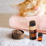 Personalizzato fatto a mano inciso legno olio essenziale diffusore regalo di nozze Housewarming per le coppie di famiglia